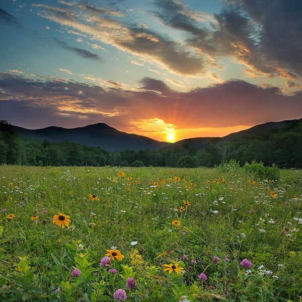 Western Maine Photography Workshop for Beginners