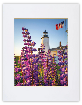 Pemaquid Lupines print by Down East Prints showcasing vibrant purple and blue lupine flowers against a scenic background.