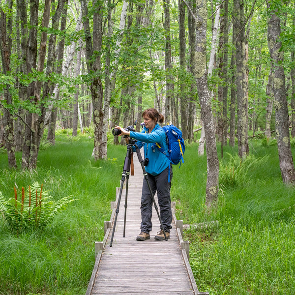 Acadia Photography Workshops