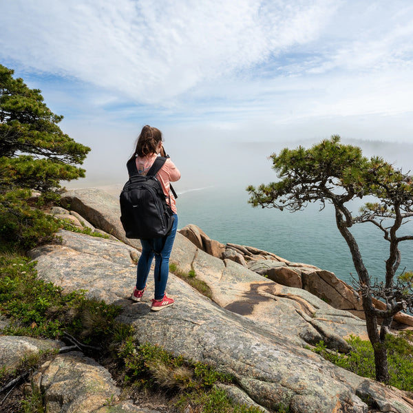 Acadia Photography Workshops