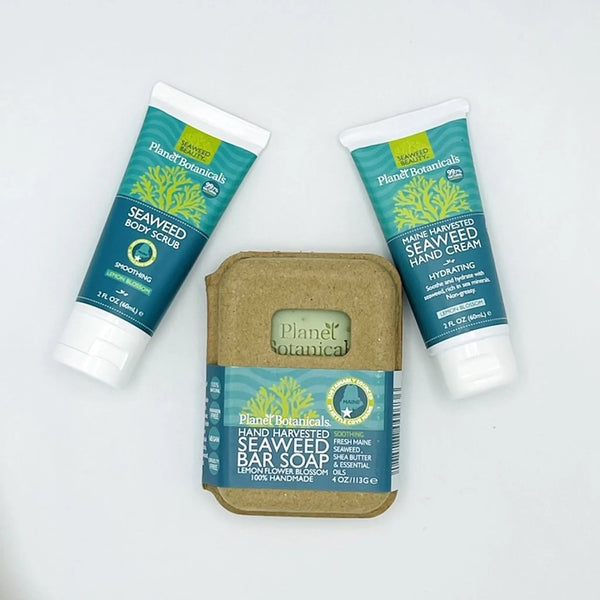 Seaweed Voyager Gift Bag