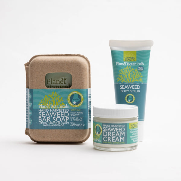 Seaweed Voyager Gift Bag