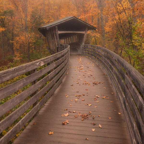 Western Maine Fall Photography Workshops