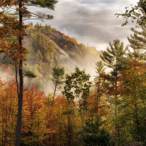 Western Maine Photography Workshops