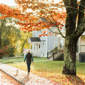 Fall foliage photography workshop with Down East Adventures, featuring vibrant autumn leaves and scenic outdoor landscapes.