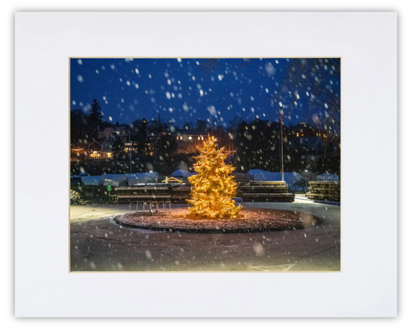 Rockport Christmas Tree Print