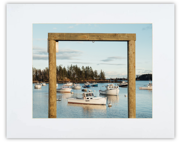 Owls Head Scene Print