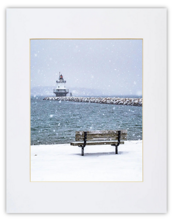 Spring Point Print