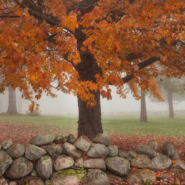 Western Maine Photography Workshops