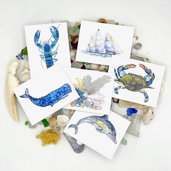 Coastal Collection Note Card Sets