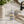 Lavender & Mint Aromatherapy Mist