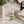 White Cedar & Pine Aromatherapy Mist