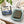 Goat Milk Bar Soaps