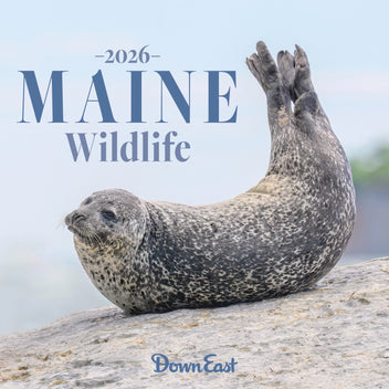 Maine Wildlife Wall Calendar by Down East Calendar featuring scenic images of Maine's native wildlife for 2026.