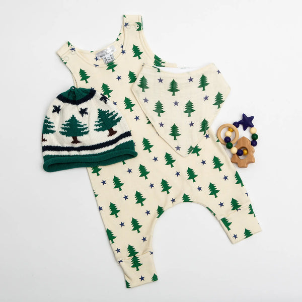 Baloo Baleerie group image of 1901 Maine flag romper, pine tree knit hat, 1901 Maine flag bib, and pine tree teether