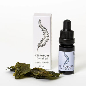 Mini bottle of Cold Current Kelp KelpGlow Facial Oil with coastal lavender scent, featuring a glass dropper and botanical ingredients.
