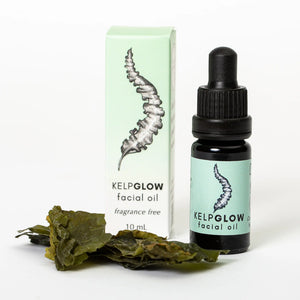 Mini bottle of Cold Current Kelp KelpGlow Facial Oil, fragrance-free, with natural kelp extract for nourishing skin.