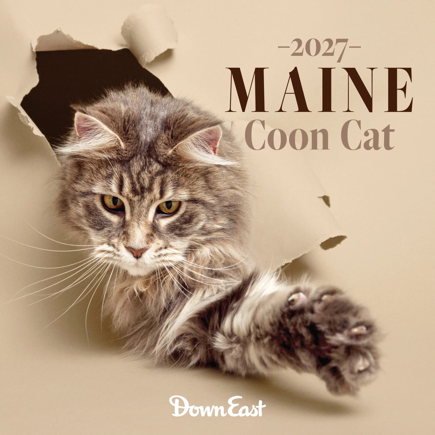 Maine Coon Cat Wall Calendar featuring images of Maine Coon cats for the year 2027, from Down East Calendar.