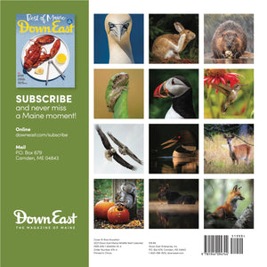 Maine Wildlife Wall Calendar