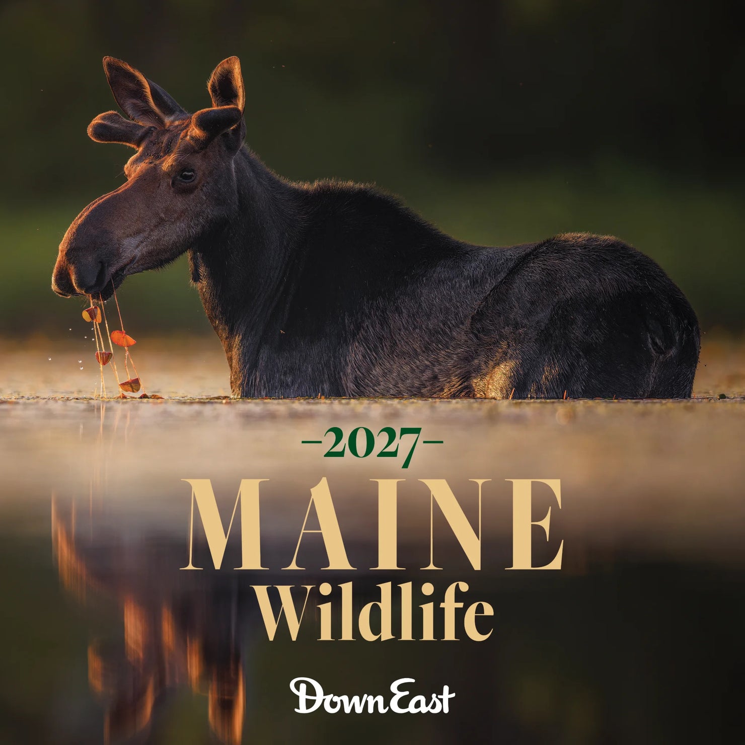Down East Wildlife Wall Calendar featuring scenic Maine wildlife images for 2027, perfect for nature lovers and home decor.