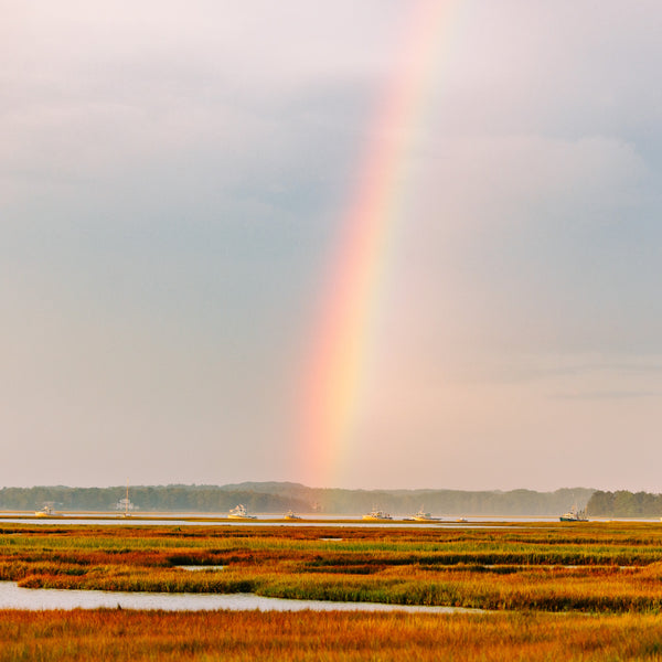 Southern Maine Photography Workshop