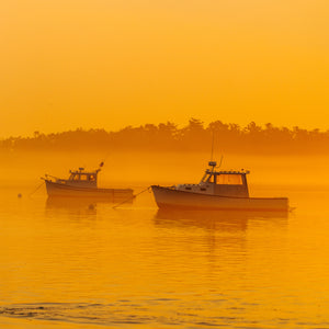 Landscape photo taken during the Southern Maine Photography Workshop by Down East Adventures, showcasing scenic coastal views.