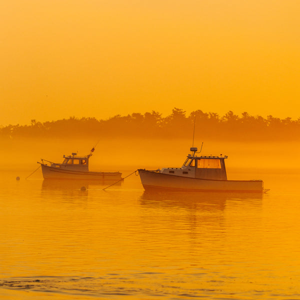 Southern Maine Photography Workshop