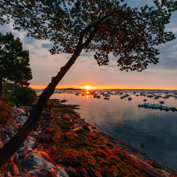 Southern Maine Photography Workshop