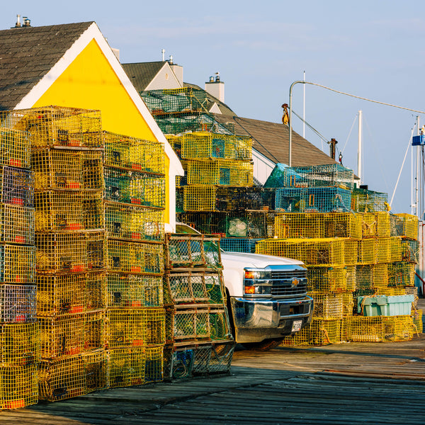 Southern Maine Photography Workshop