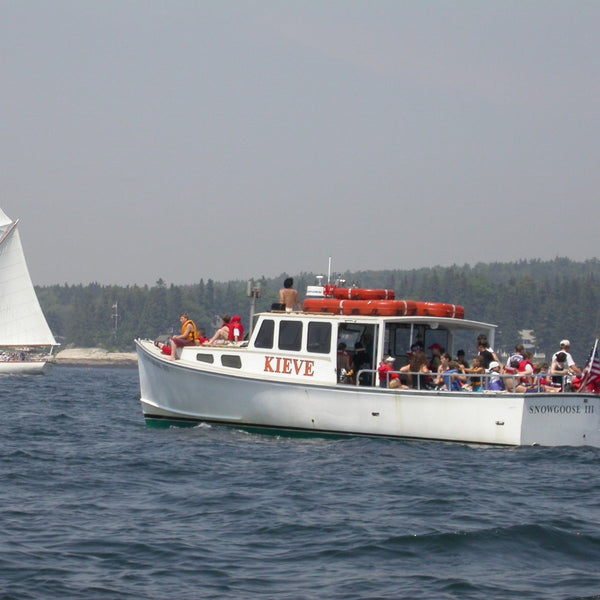Puffins and Seals Photography Cruise to Eastern Egg Rock