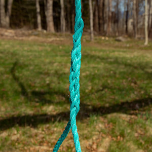 Lobster Rope Swings