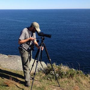 Photograph of a participant at the Summer Shorebirds Workshop by Down East Adventures, standing on a beach with shorebirds nearby.