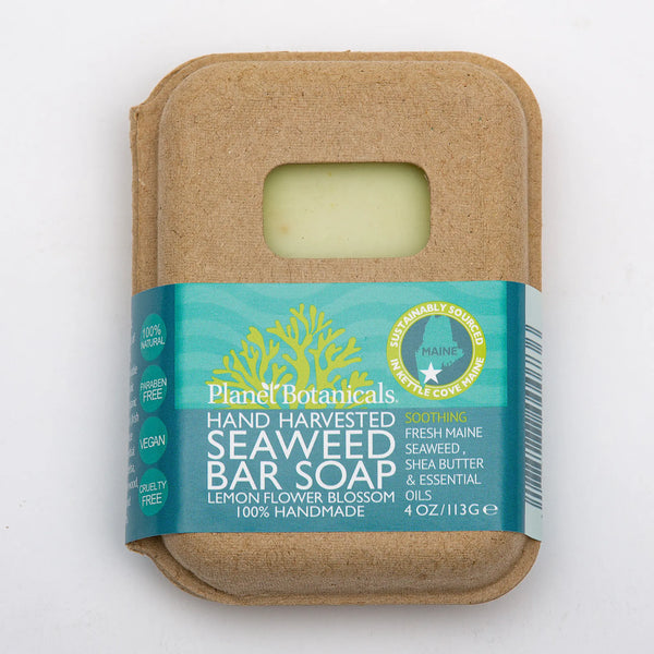 Seaweed Bar Soap