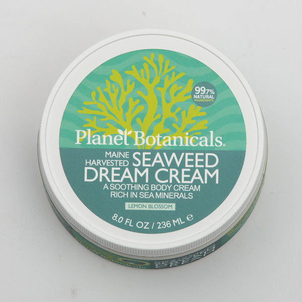 Seaweed Dream Cream