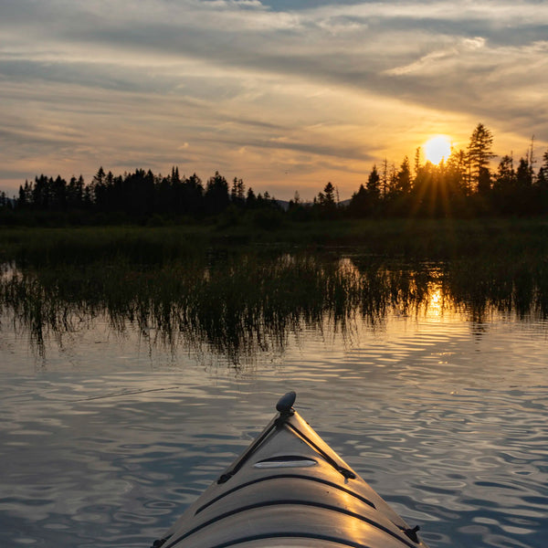 North Woods Wildlife Photography Adventure