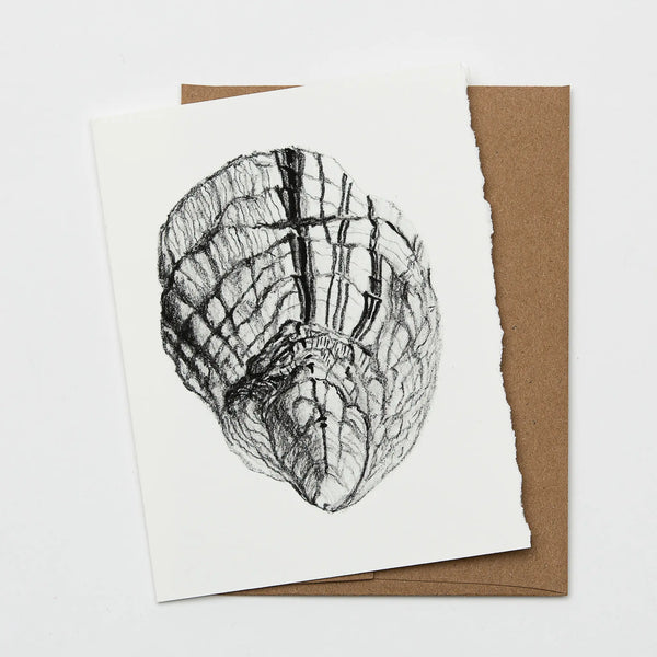 Beeyond Hope Farm charcoal illustration of a Mere Point oyster on a blank ivory colored greeting card with matching kraft paper envelope