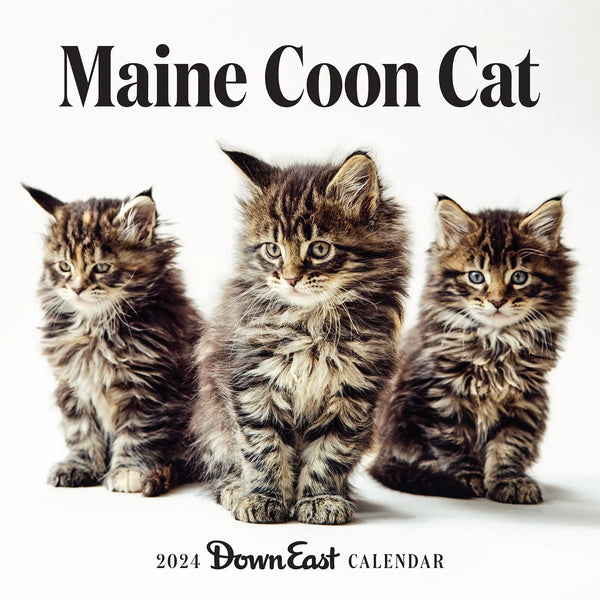 Maine Calendar Of Events 2024 Avie Margit