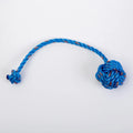 Blue floating rope fetch toy with lobster design for dogs, made by Fetch Me, ideal for interactive play and water fetch games.