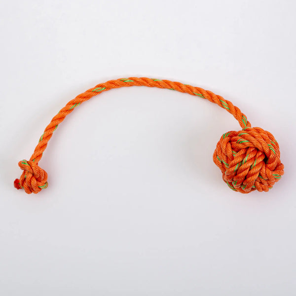 Floating Rope Fetch Toy