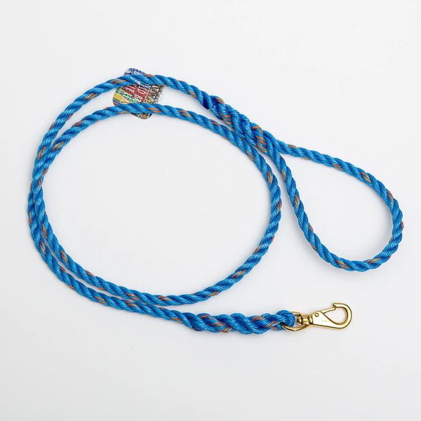 Dog leash near clearance me